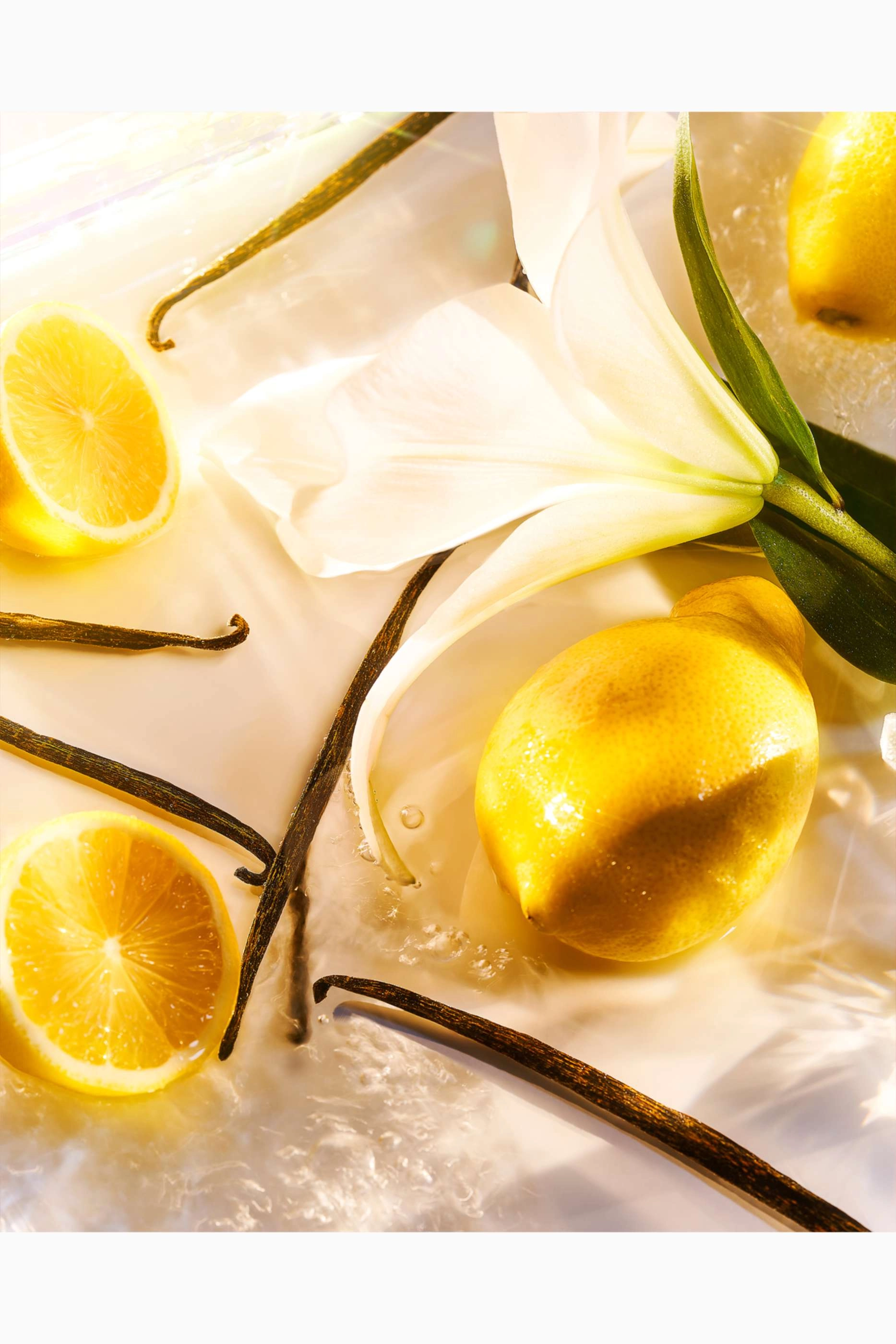 51 Parfum Pour Femme Eau de Parfum 50ml