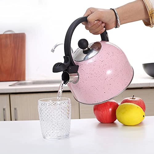 Stainless Steel Kettle - 2.5L