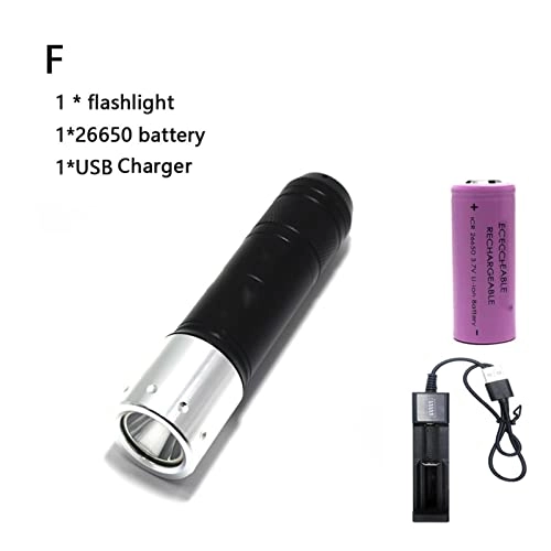 Professional Submersible Light - 4000 Lumens IPX8