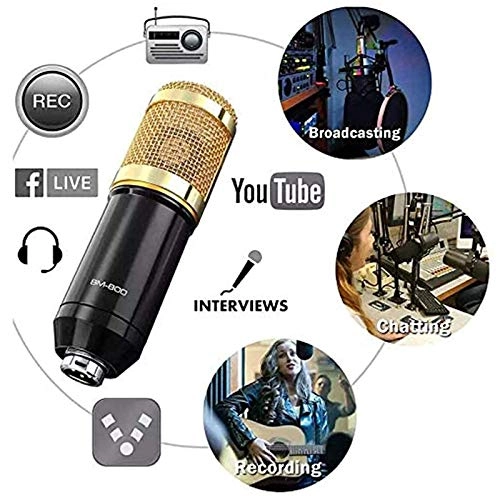 BM-800 Wired Microphone