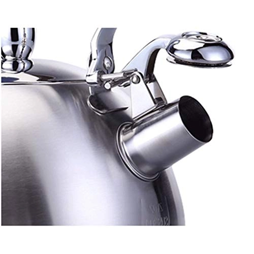 Stainless Steel Kettle - 2.5L