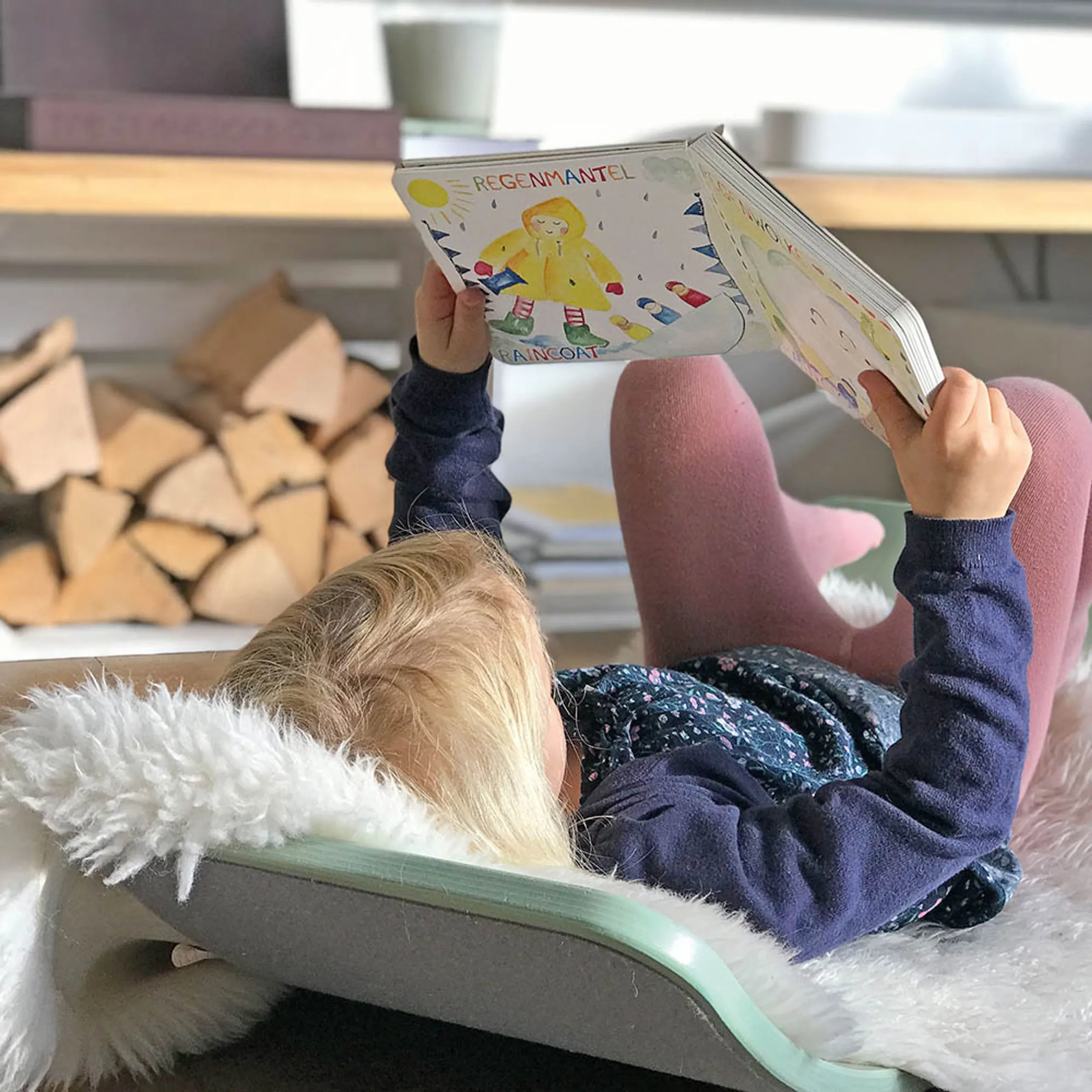 The Weather Cardboard Book - 1 year and above