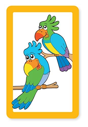 Snap + Pairs - Zoo Card Game