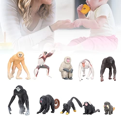 Primate Animal Model Set - 10 pieces