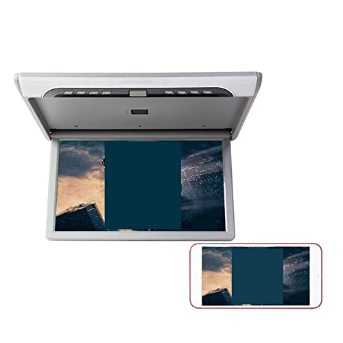 Car Ceiling Display - 19 Inch
