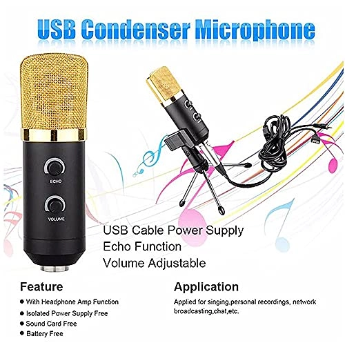 Professional Studio Microphone USB Condenser