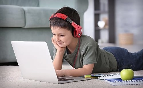 KD-PW-140CH Wired Headphone