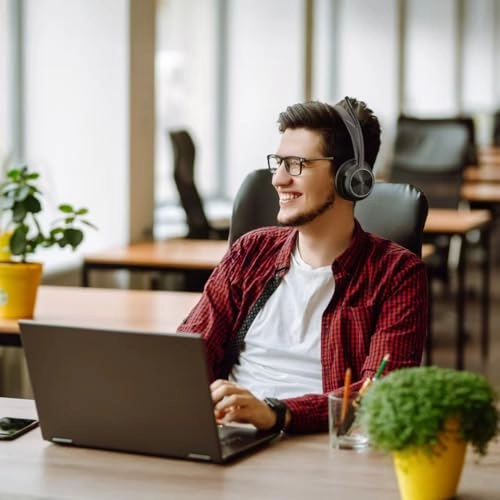 Voyager 4310 Wireless Headset