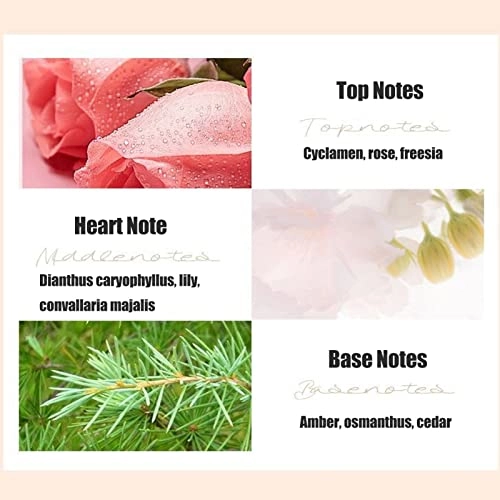 White Tea Woody Eau de Toilette 20ml