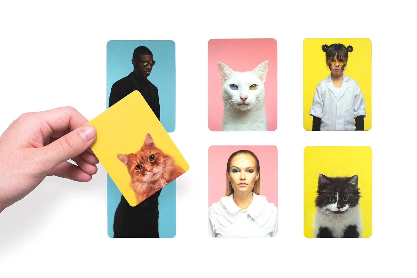 Do You Look Like Your Cat?: A Matching Memory Game