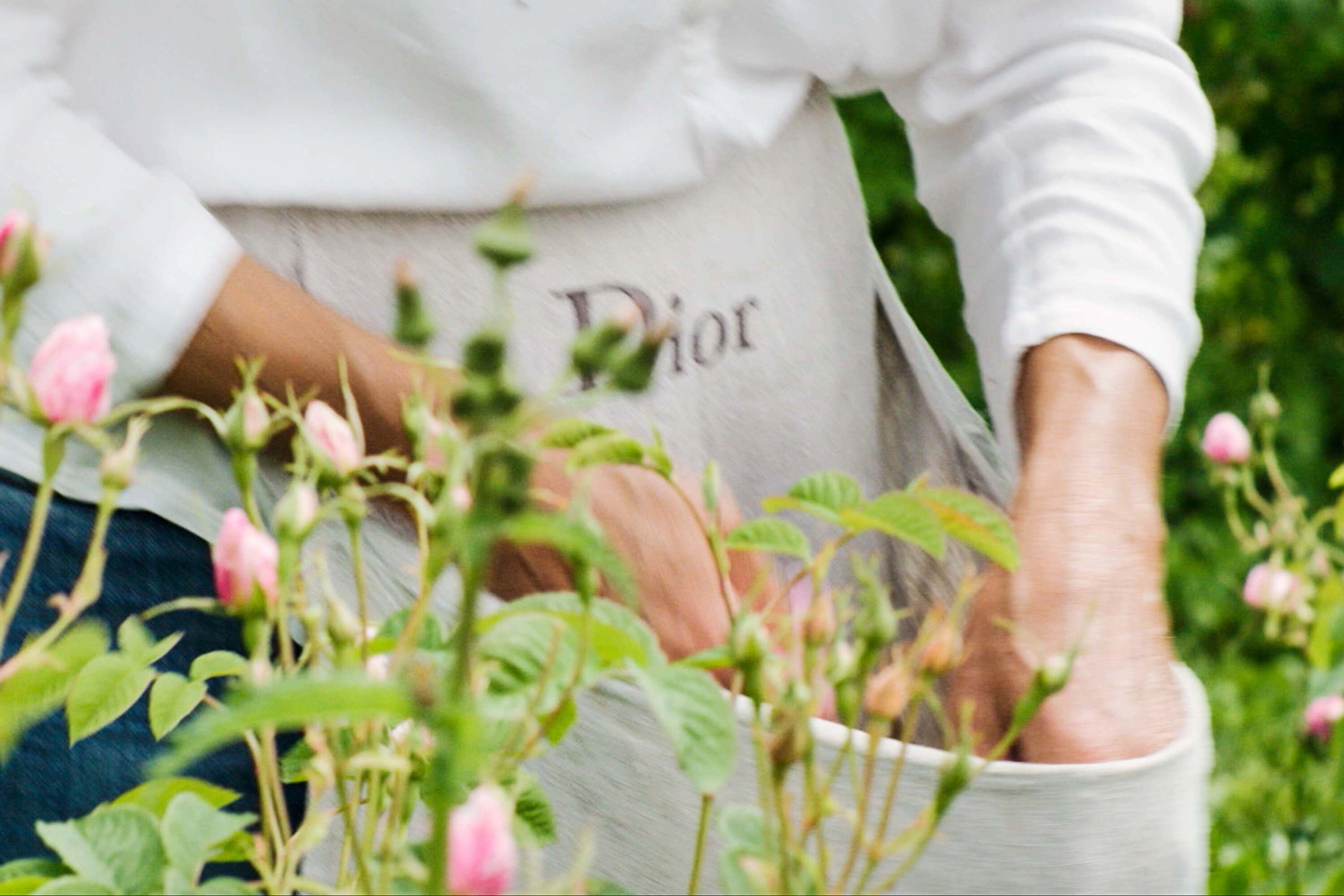 Absolutely Blooming Eau de Parfum 50 ml