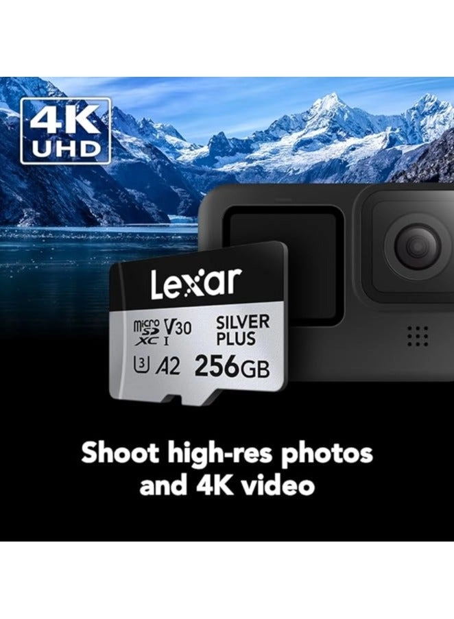 Professional SILVER PLUS microSDXC U3 1TB