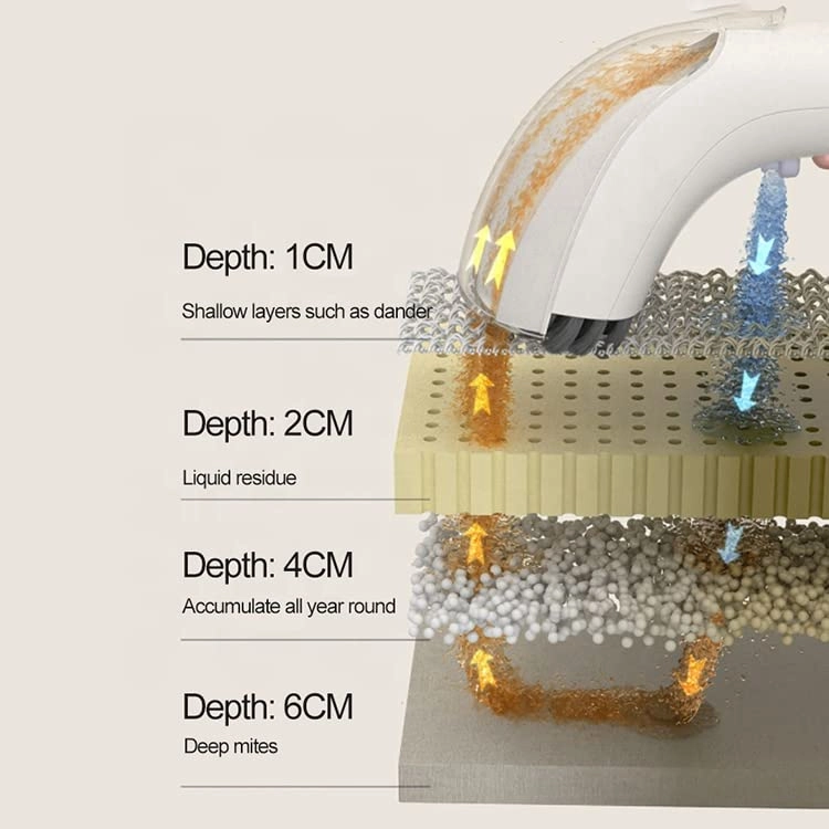 Portable Carpet Cleaner