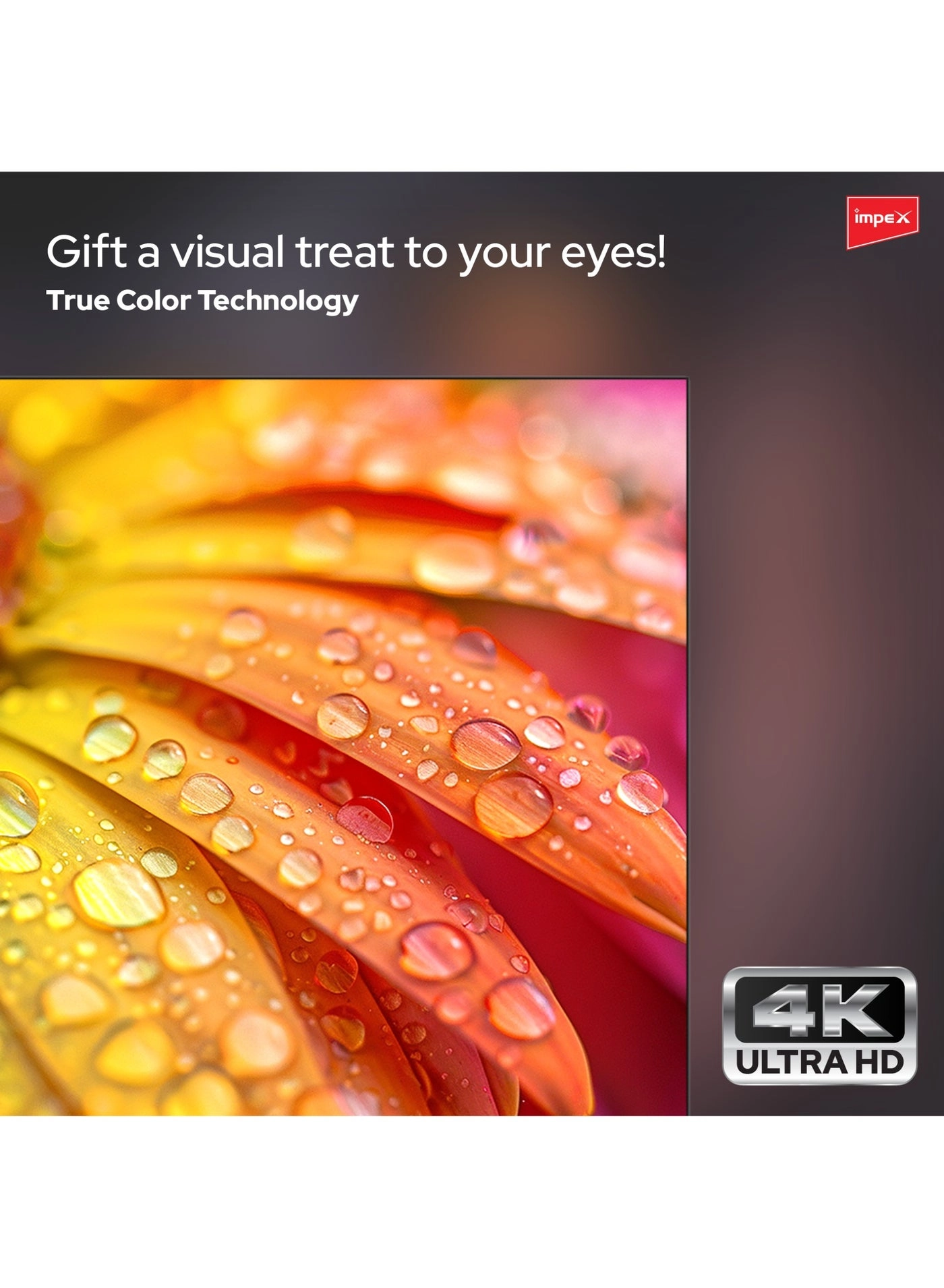 Gloria 70 Smart - 70 in