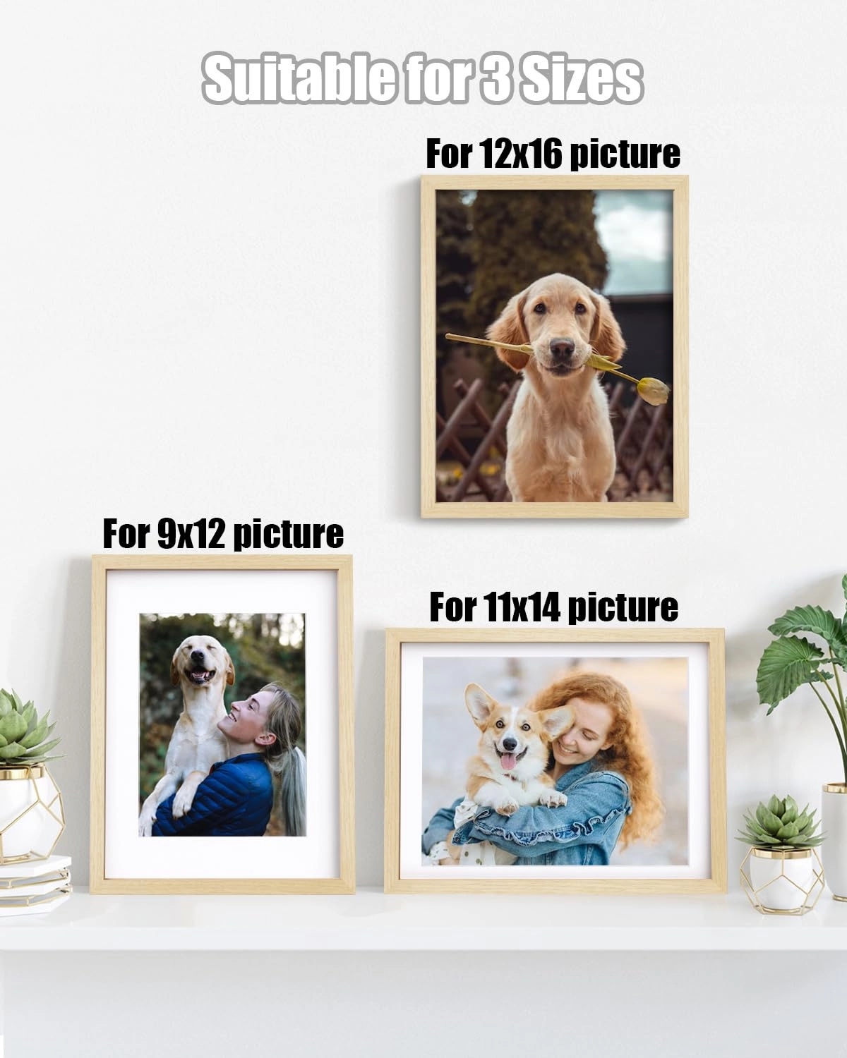 picture frames - 12x16