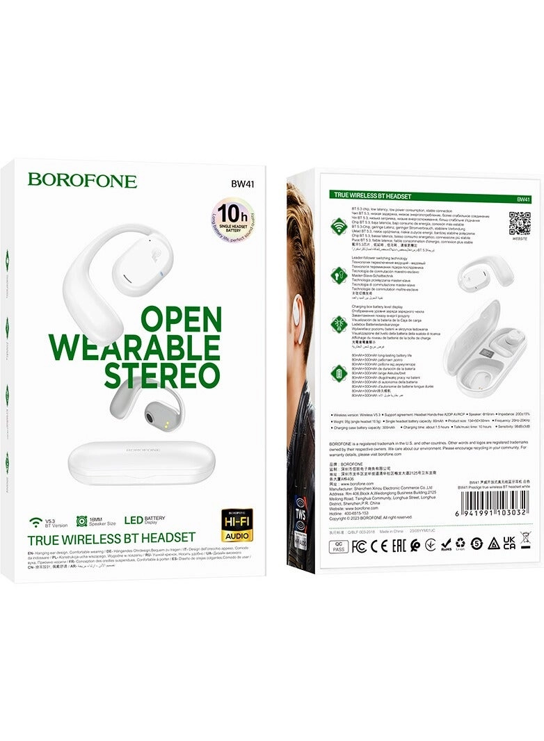 BW41 Wireless Headphone