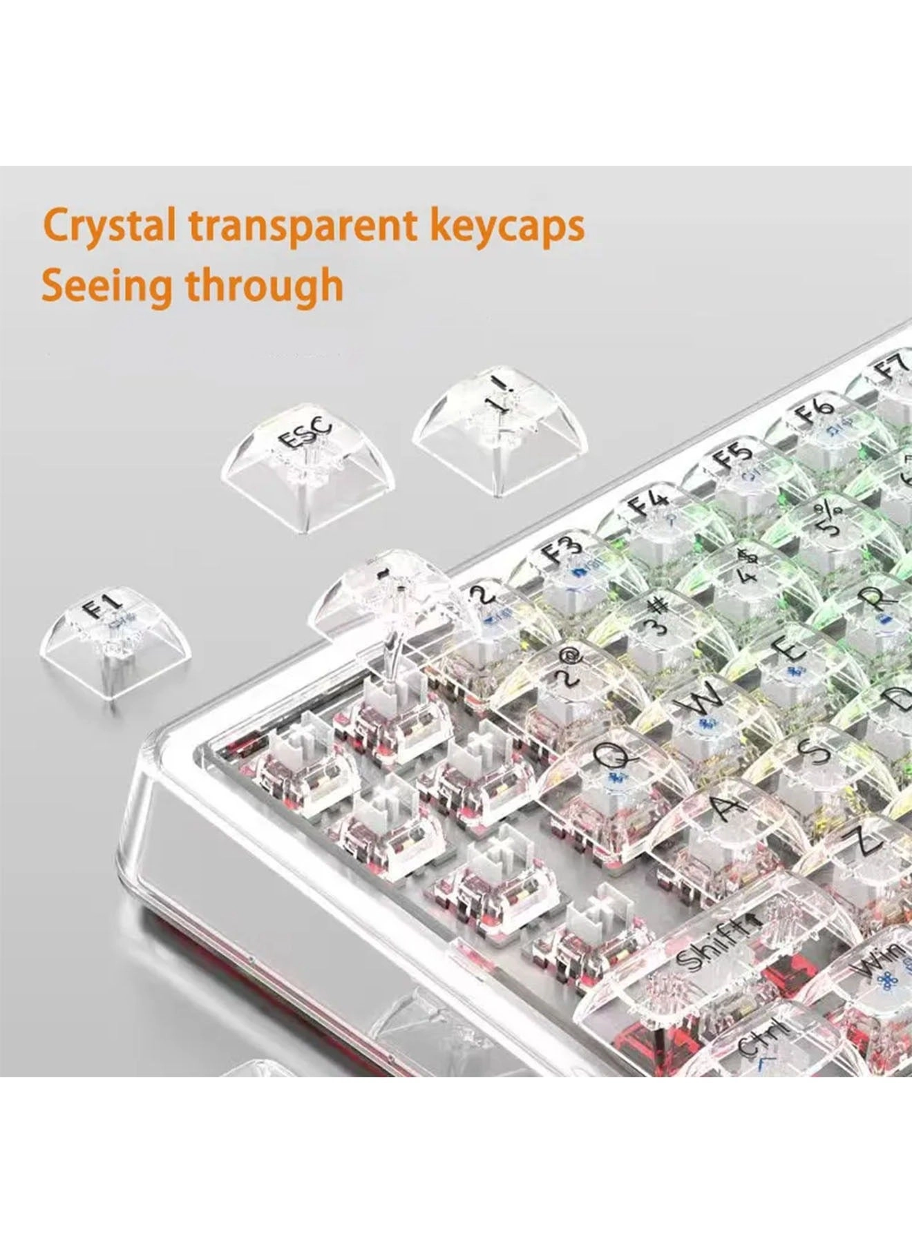 Keyboard + Mouse - Wireless