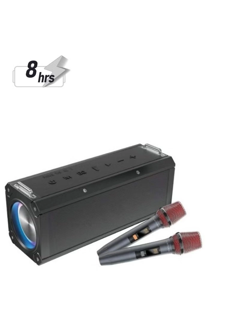 Lenyes S829 - 2x Microphone karaoke 80W