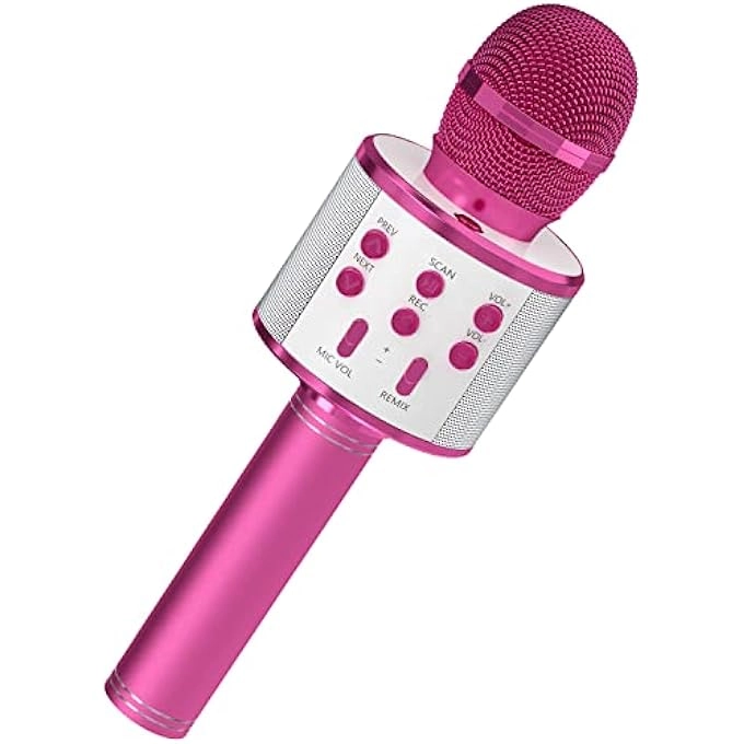 WIRELESS BLUETOOTH MICROPHONE