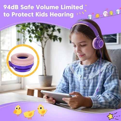 BH123A Wired Headphone