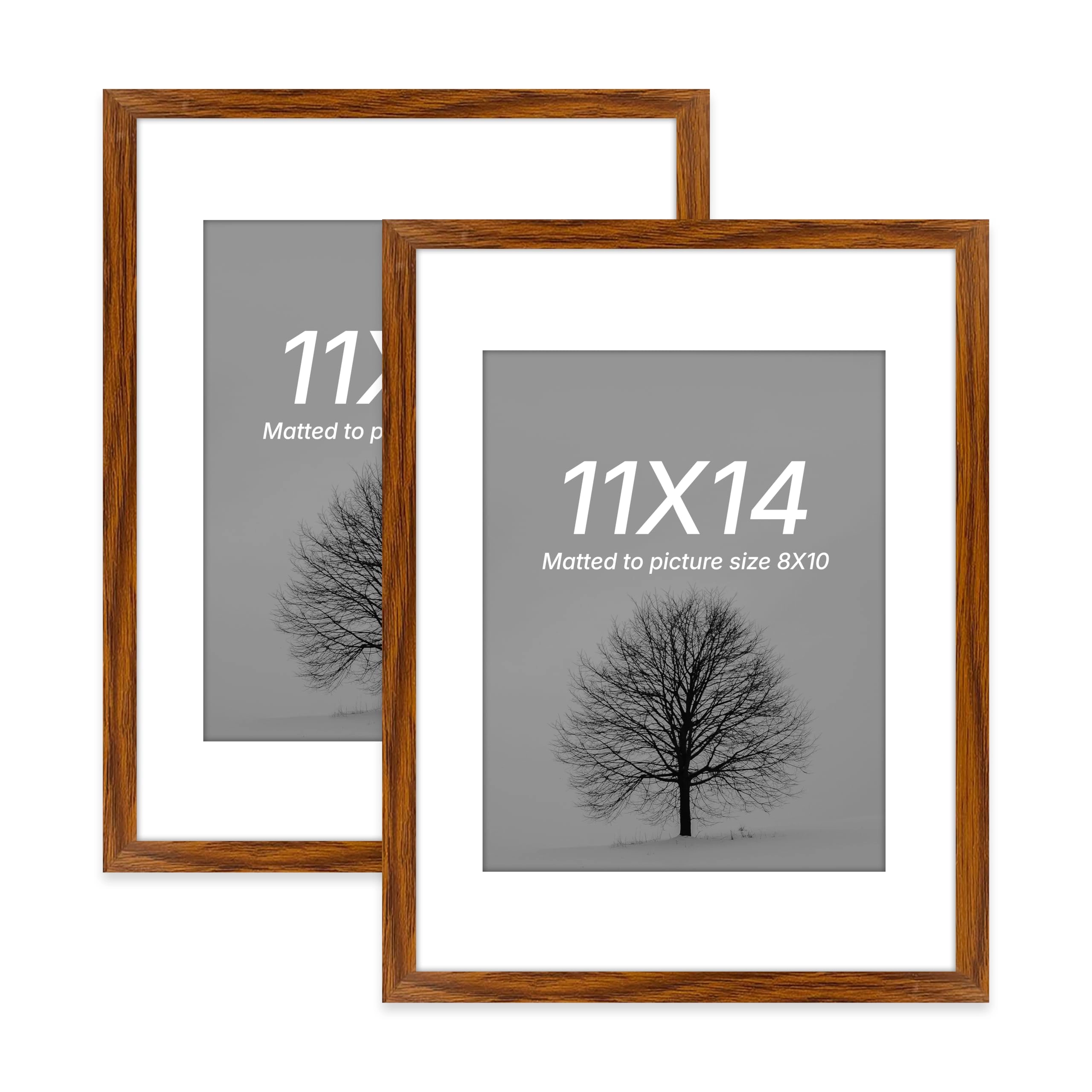 Document Frame - 11x14 Inch