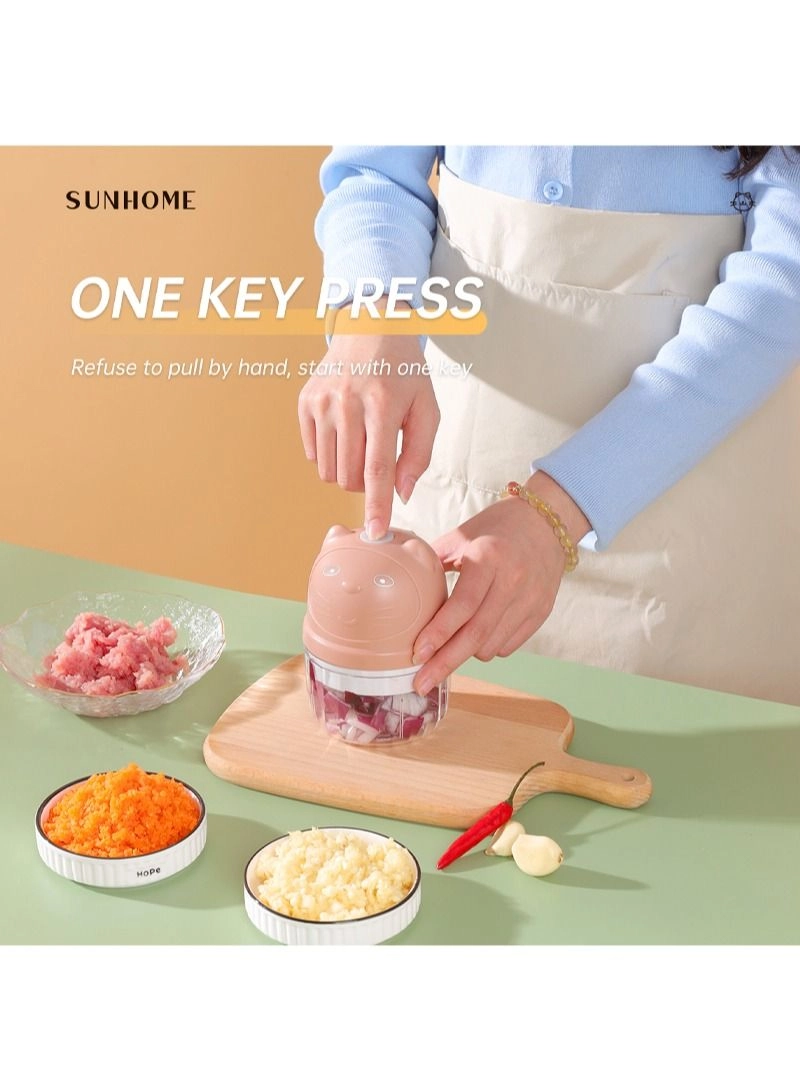 5-In-1 Mixer Grinder - 300 ml 45 W