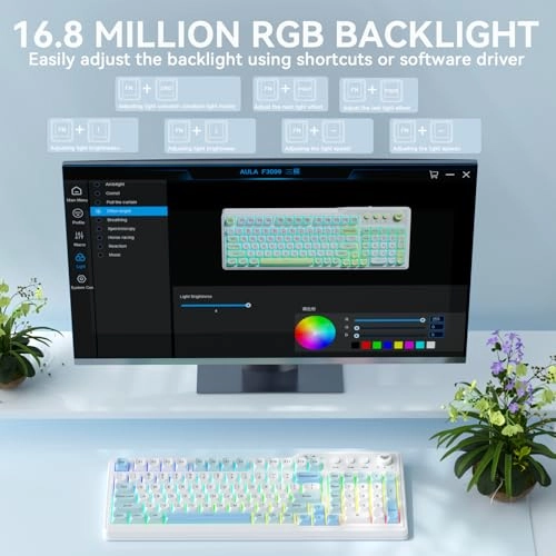 F3099 - Wired/Wireless