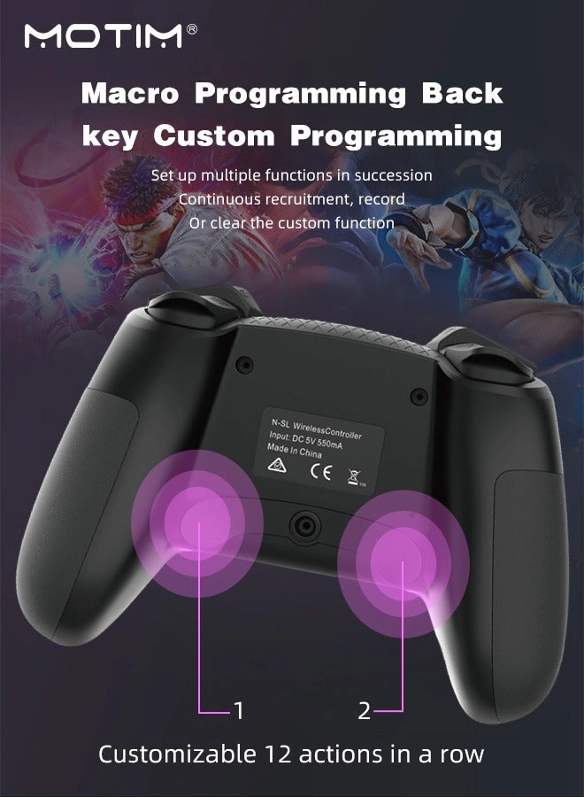 6-Axis Handle Controllers - Black Nintendo Switch