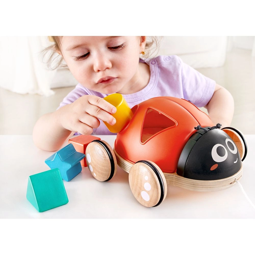 Ladybug Shape-Sorter Pull Along Toy - 5pcs Ladybug