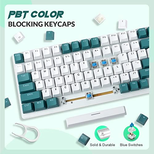 K3 - Wired
