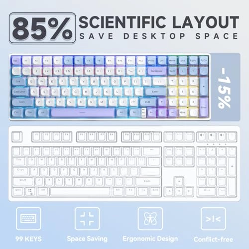 RK100 - Wired/Wireless