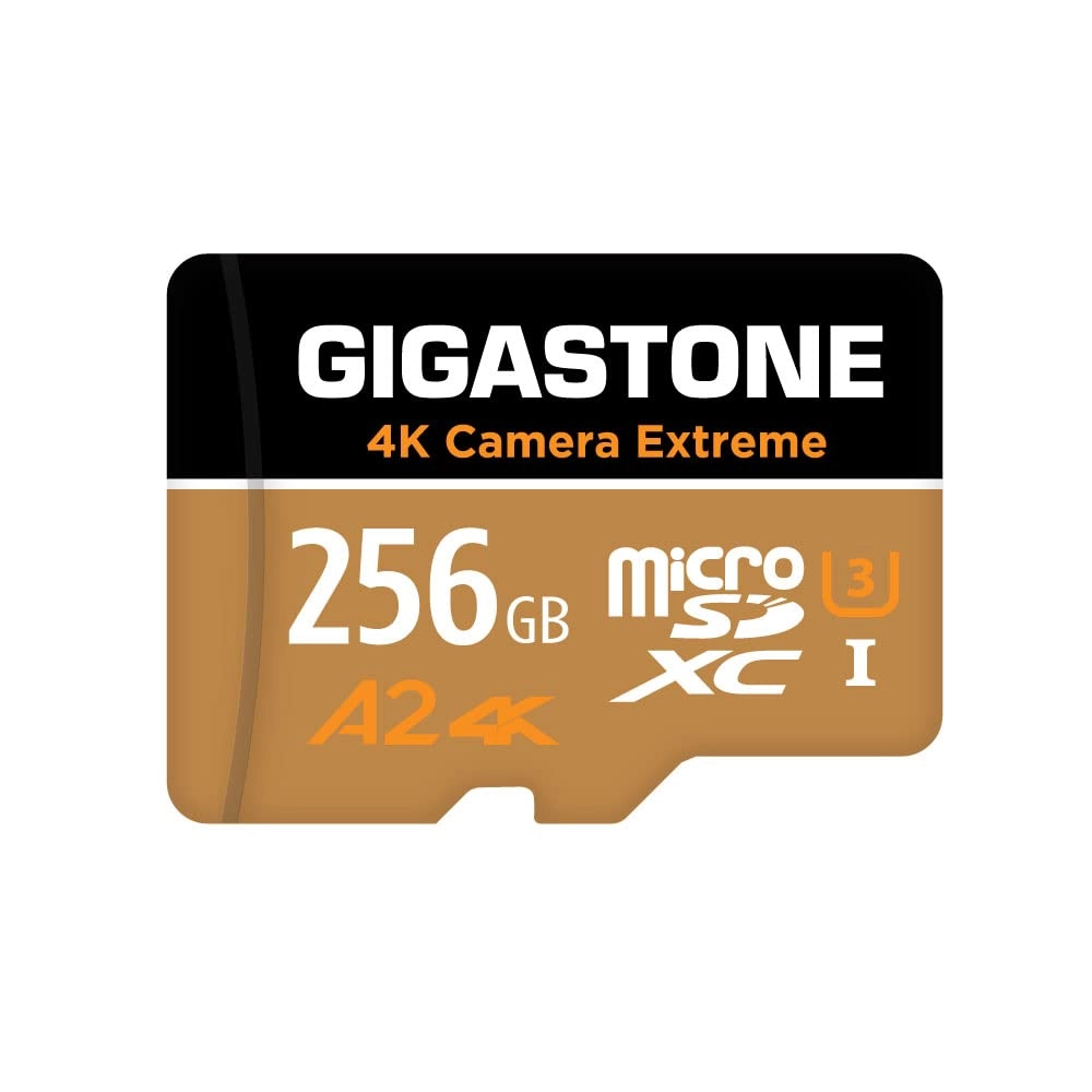 Micro SD Card - 256GB