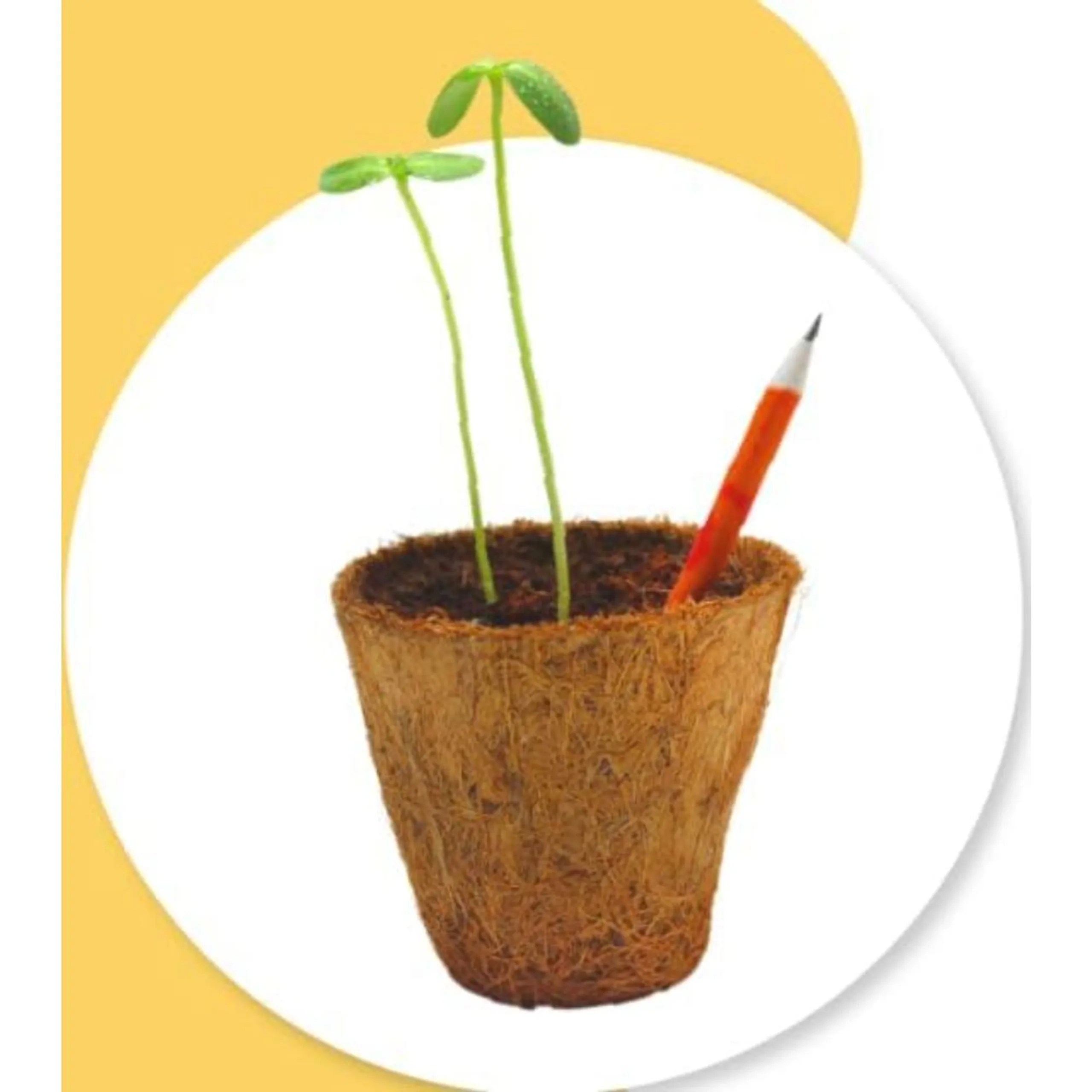 Earthling GIY Kit - Plantable Crayons Suitable for 3 years & above