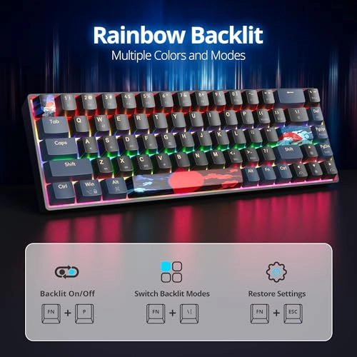 65 Percent Mechanical Gaming Keyboard - Wired