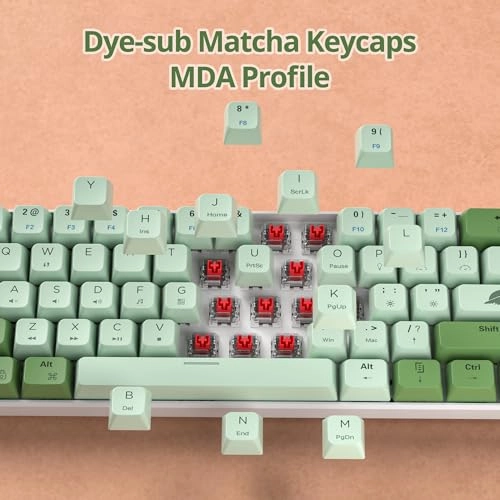 65 Percent Mechanical Gaming Keyboard - Wired