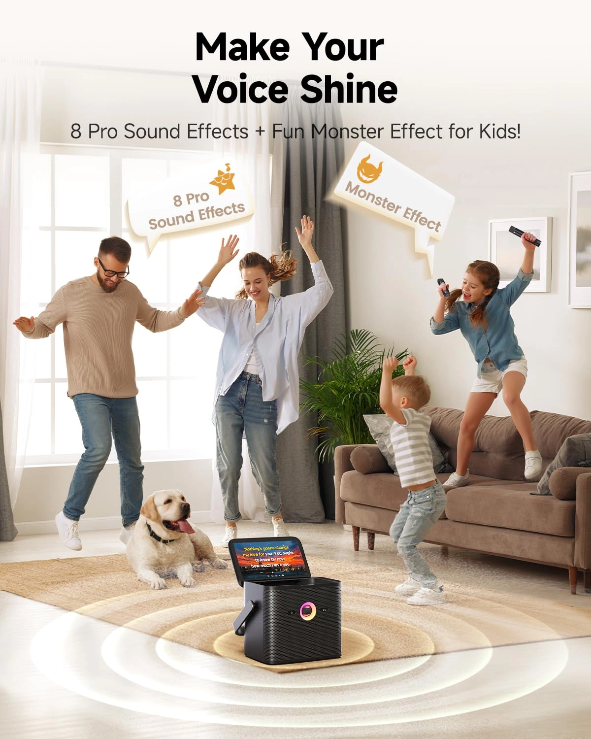 Shell S3 - 2 wireless microphones