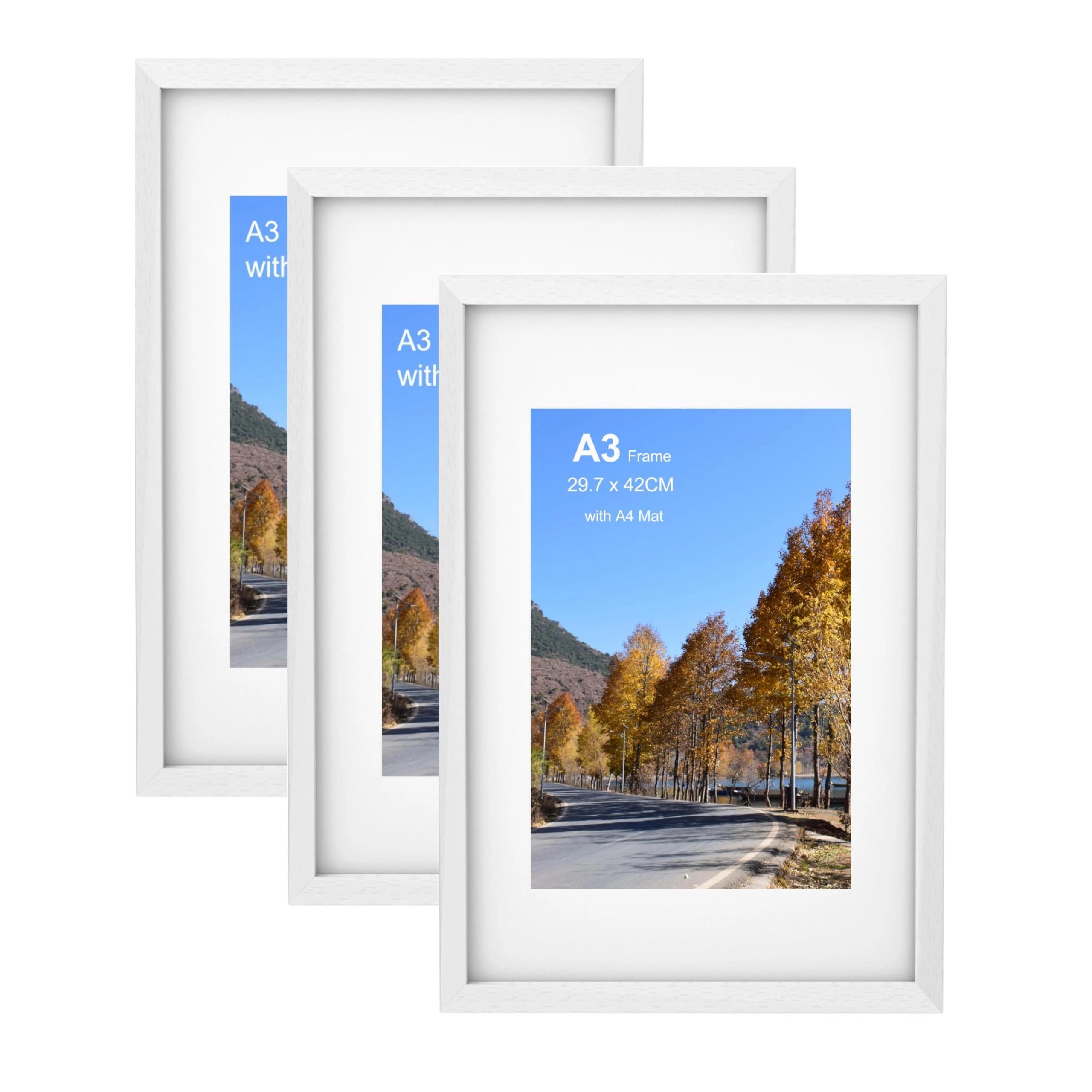 szyeequoo A3 Picture Frame - 29.7 * 42CM