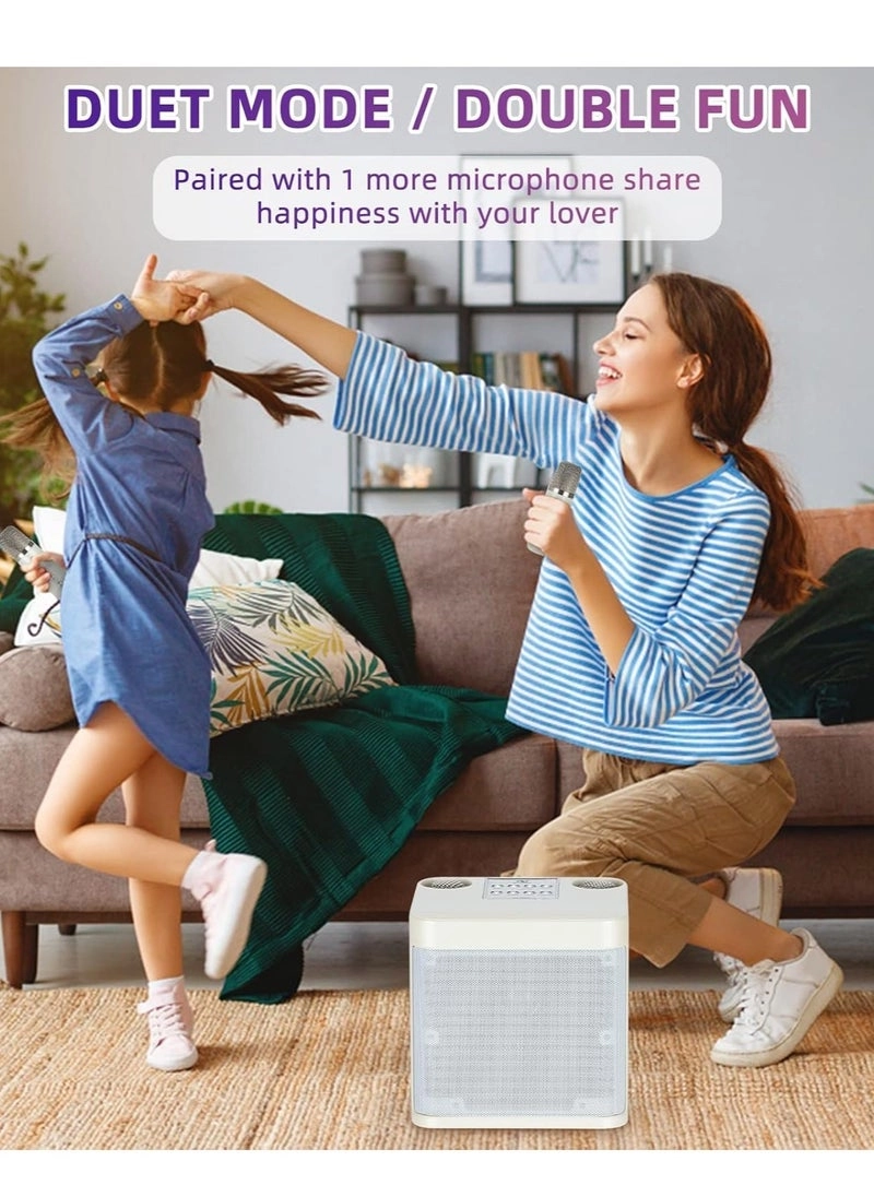 SD-508 - Dual Wireless Microphones