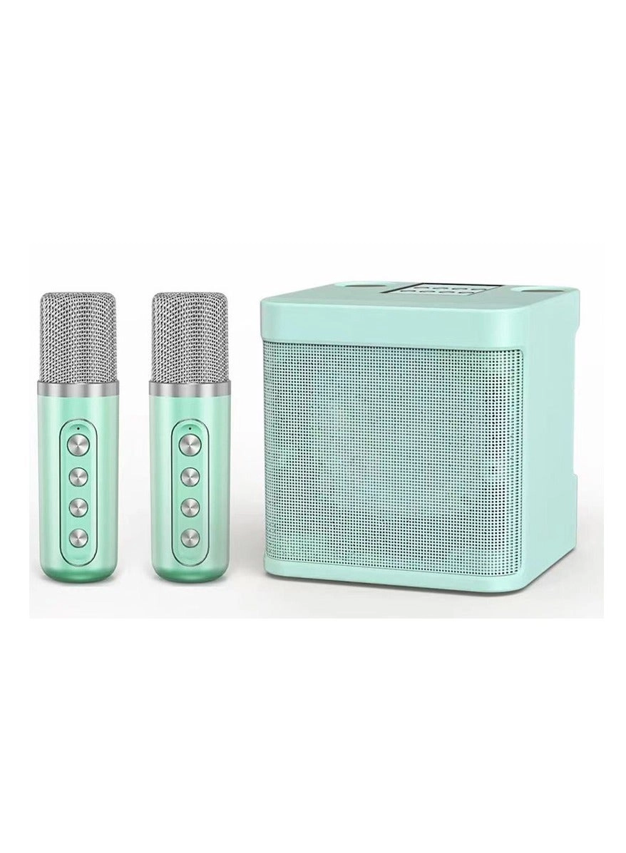 Dual Microphone Sound Package Wireless Microphone