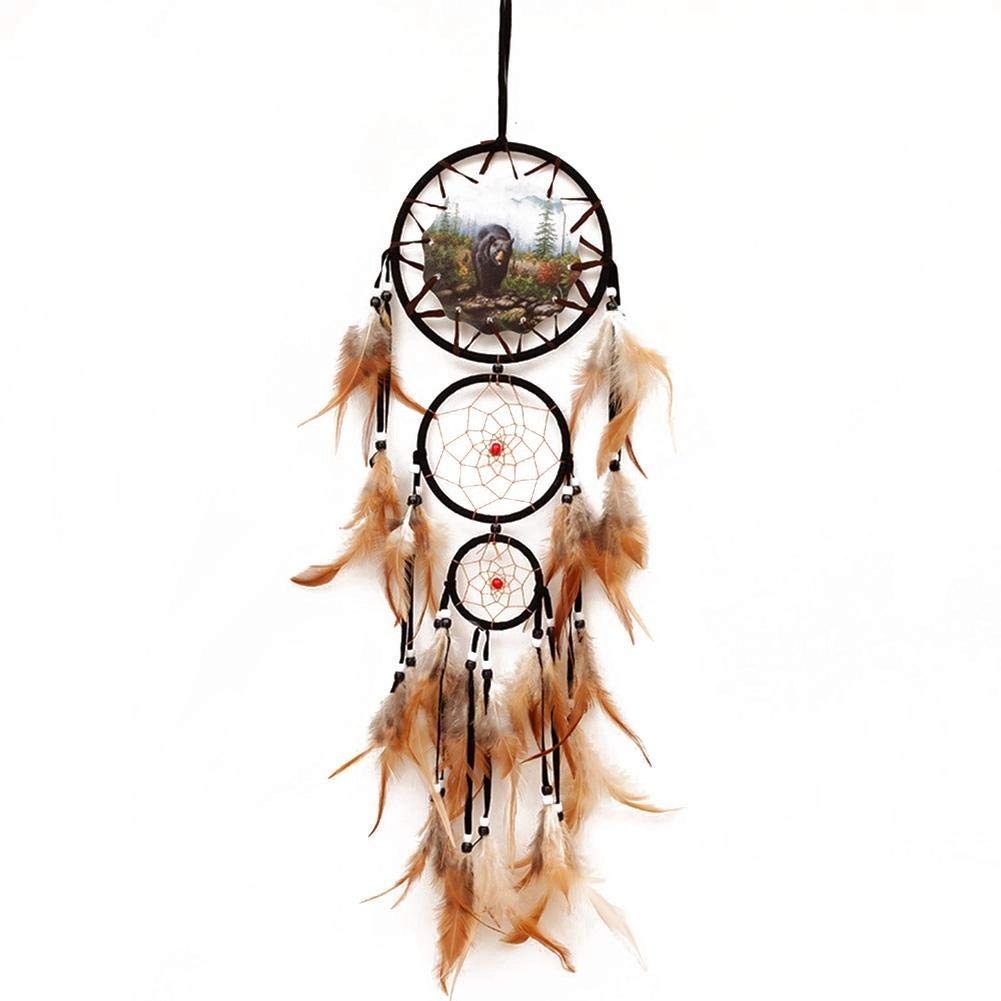 Dreamcatcher - Siderosphere, feathers, lines, wood beads.