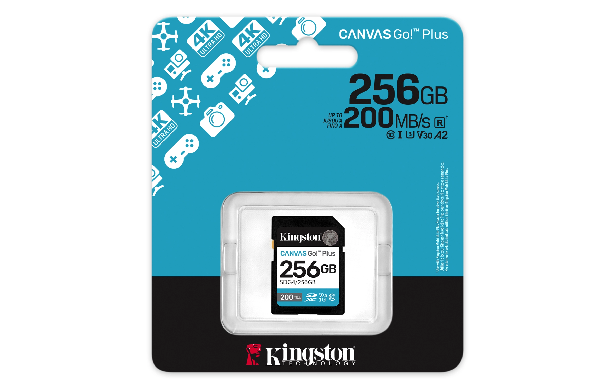 Canvas Select Plus - 256 GB
