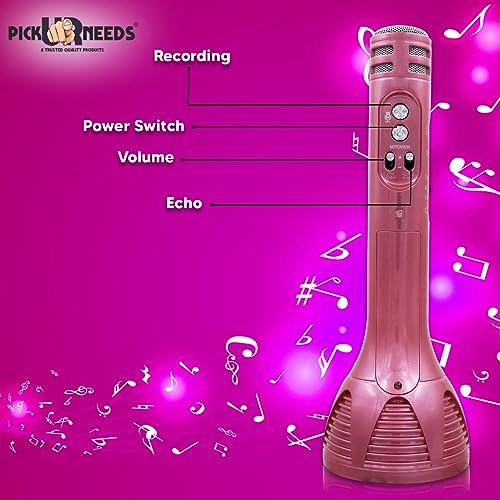WS-1698 - Karaoke Mic Wireless Bluetooth