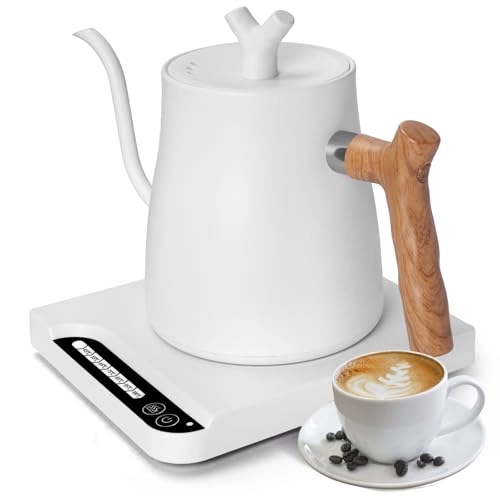 Gooseneck Electric Kettle