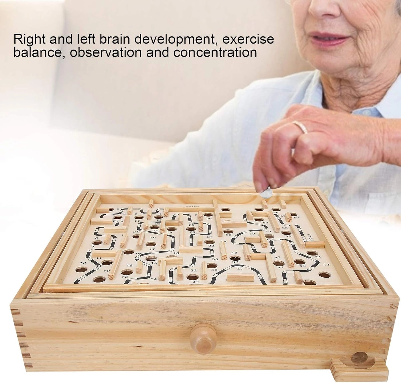 Labyrinth Wooden Puzzle
