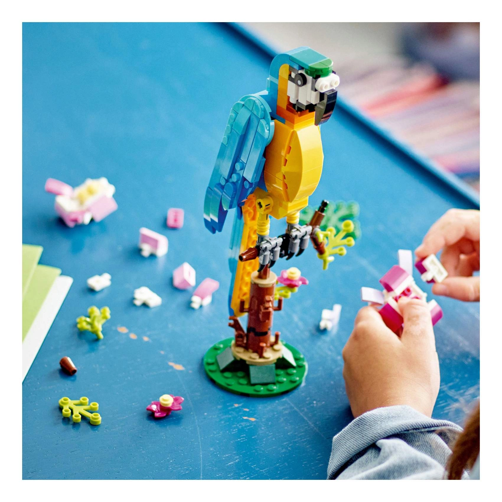 Exotic Parrot (31136) - 3-in-1 Creator Multicolour