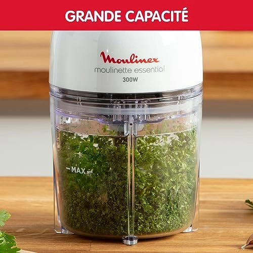 Moulinette Essential DJ5201 - 0.4 Liters 300 watts