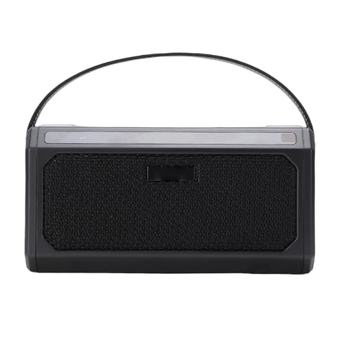 Acoustic Guitar Amp - 10W Rechargeable Wireless