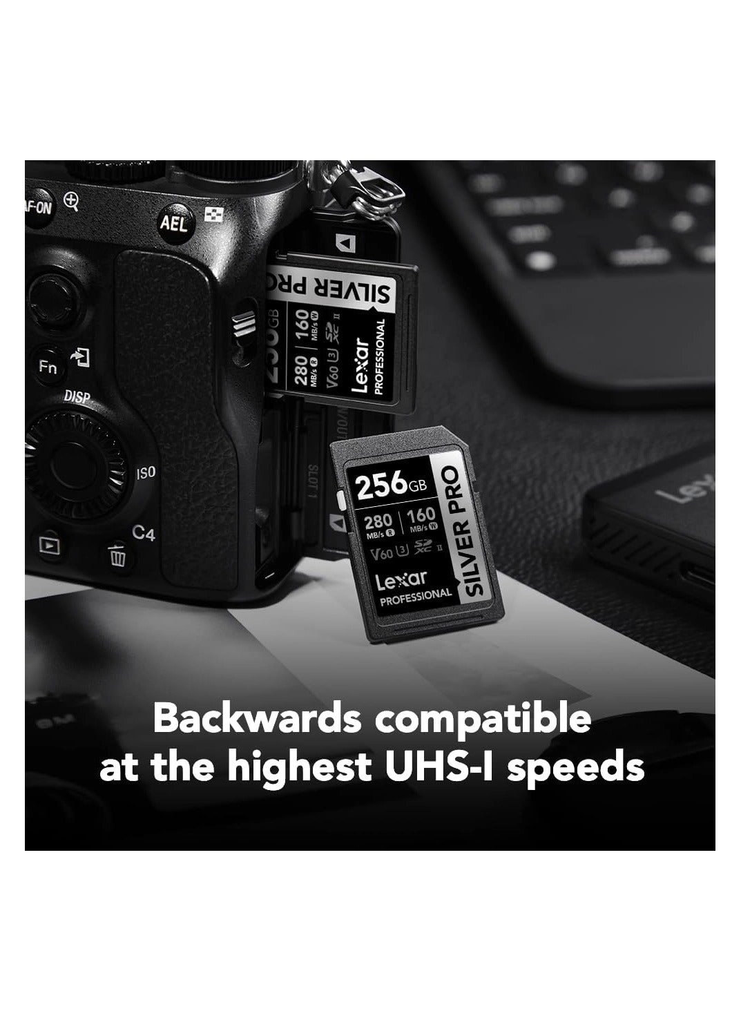 Professional Silver Pro SDXC UHS-II U3 256GB