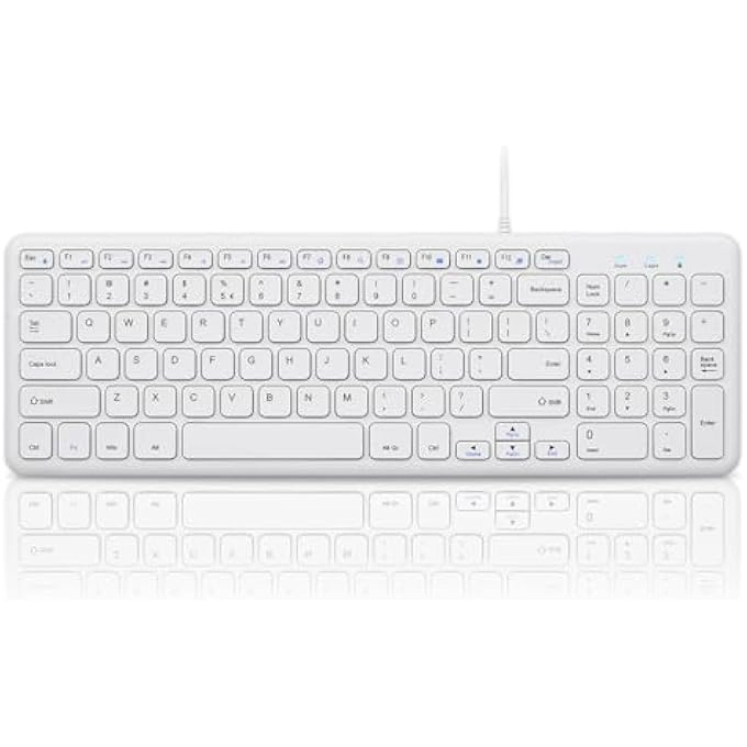 erorex 213W - US Wired