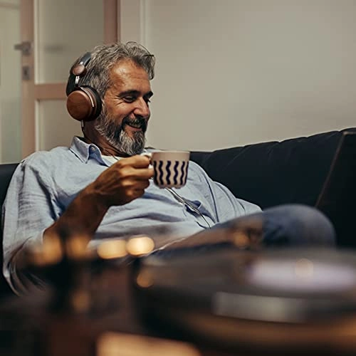 HW501 Wired Headphone